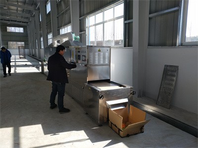 初步干燥的药材为什么适合用微波进行二次干燥杀菌处理