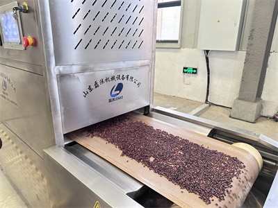 如何使用微波设备对红豆进行预熟化处理