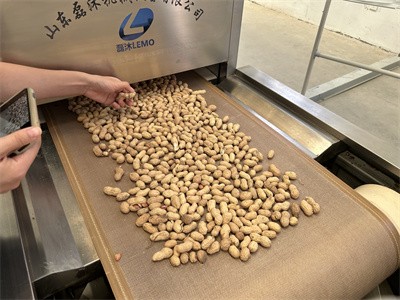 Microwave treatment of peanut insecticidal eggs