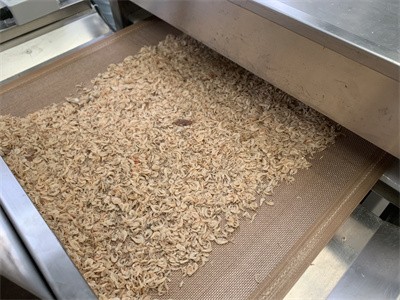 Shrimp skin microwave drying and sterilization equipment