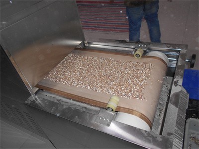 关于芡实的微波预熟化处理？