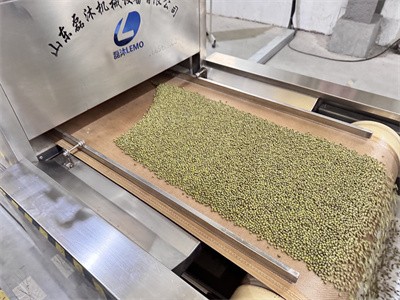 Microwave low-temperature drying processing technology for miscellaneous grains