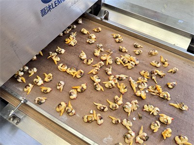 The actual processing effect of microwave drying on dried scallops and clams