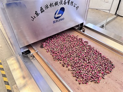 Microwave sterilization and insect egg killing treatment of health tea