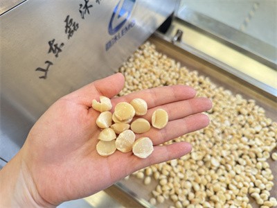 Microwave baked Hawaiian nuts