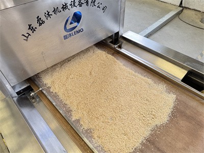 Microwave drying and inactivation of wheat germ