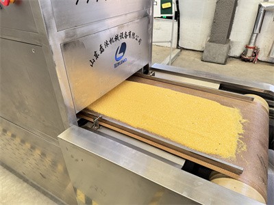 Raw millet microwave baking and maturation processing