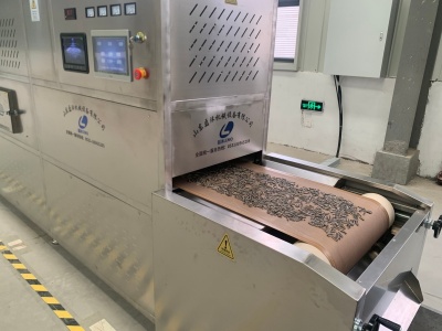隧道式微波烘烤机在瓜子烘烤加工中的应用？