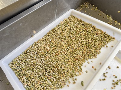 Comparison between microwave baking and deep frying of green peas