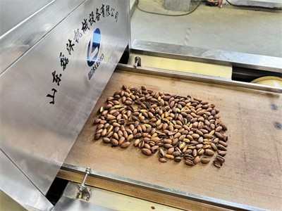 How to solve the problem of nut infestation and moisture regain with microwave
