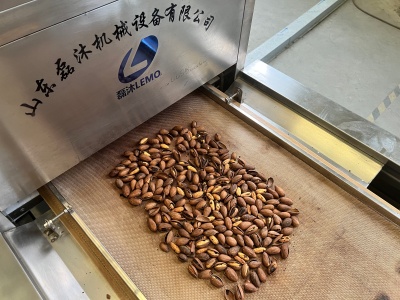 隧道式微波设备在坚果烘烤中的应用？