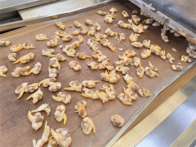 Microwave drying and low-temperature drying of dried clams