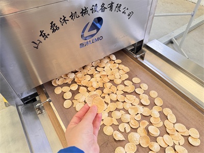 工业微波膨化设备为虾片生产提供了一条非油炸的加工路径？